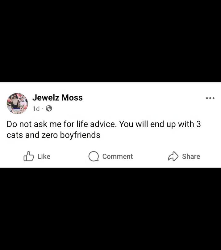 Jewelz Moss 1d. Do not ask me for life advice. You will end up with 3 cats and zero boyfriends Like Comment Share ...