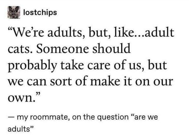 lostchips "We're adults, but, like...adult cats. Someone should probably take care of us, but we can sort of make it on our own." - my roommate, on the question "are we adults"