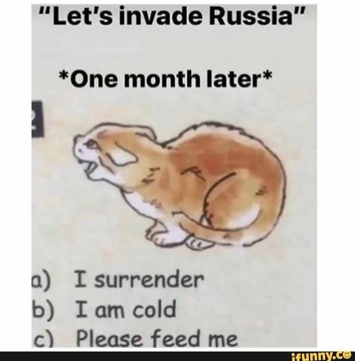 "Let's invade Russia" *One month later* a) I surrender b) I am cold c) Please feed me ifunny.co