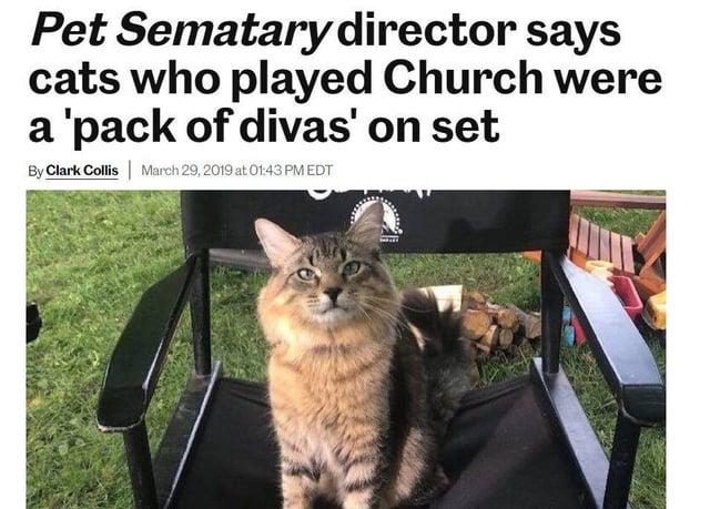 Pet Sematary director says cats who played Church were a 'pack of divas' on set By Clark Collis March 29, 2019 at 01:43 PM EDT