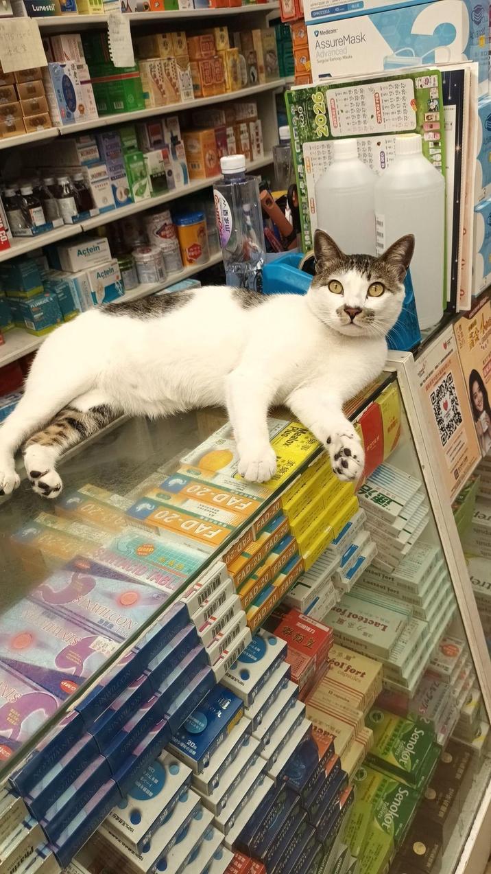 INS SIN Nabe NO! 100%天然成份2 100% TARR GMP SINWILCON Table SINWILCON SINWILCON SINWILCON トーンを RE 腹を下げる NO 毒素を 20 的な便秘の治療 なうことなく A3-20 GMP 100%天然成份, PLUMUC Actein Actein FAD-20 FAD-20 02-OVA FAD-20 175 12-6 Lunestil JARICING KONSTRI JASON KOESTRE WEEZEER BY FAD-20 FAD-20 FAD-20 FAD-20 FAD-20 FAD-20 Lact ed ca 美國強力 解酒皇 樂事 Plus Maalox 美樂 Lactéol for Lauteol Te 力多爾 Lastool Sort M fol fort A capsules 12 capsules etéol fort Lastéol fort Senokot スルーラック S ** Senokot Tablets 速治 E ROTER tre psils rep 1 C221915 40 BLUE Medicom AssureMask Advanced Surgical Earloop Masks 18 1222 298 1322 1-282 11-22 1-299 1412 282 1-1-29 fre 40 -17 REFERECEFIRE U NO