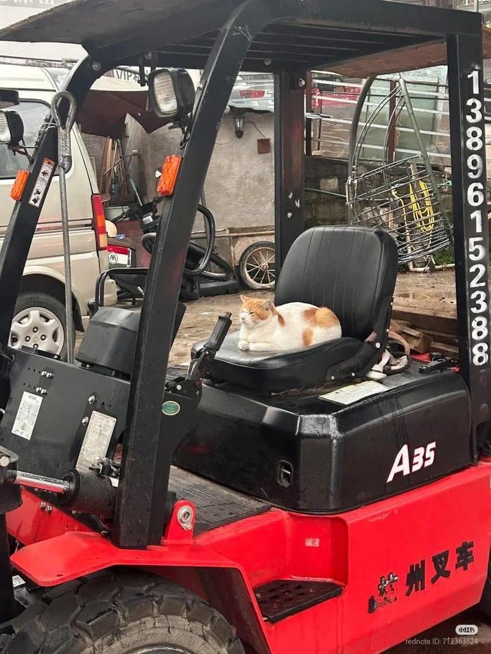 VIP 1 AA A35 3896152388 您州叉车 小红书 rednote ID: 712363624