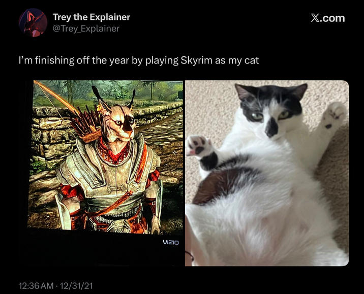Trey the Explainer @Trey Explainer I'm finishing off the year by playing Skyrim as my cat 12:36 AM 12/31/21 VIZIO X.com