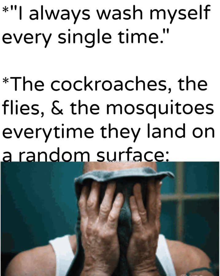 *"I always wash myself every single time." *The cockroaches, the flies, & the mosquitoes everytime they land on a random surface: tlerpartesar