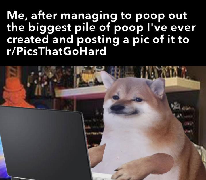 Me, after managing to poop out the biggest pile of poop I've ever created and posting a pic of it to r/PicsThatGoHard