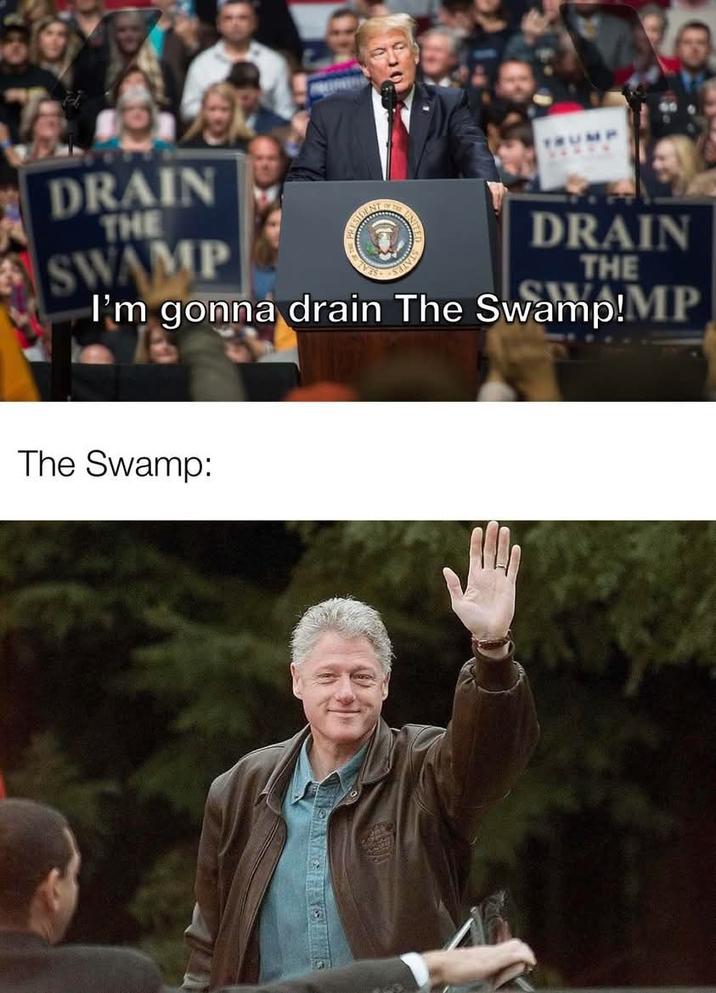 DRAIN THE SWAMP DRAIN THE I'm gonna drain The Swamp!MP The Swamp: