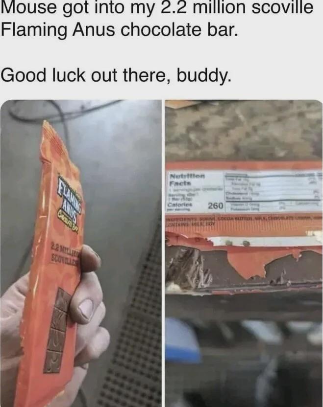 Mouse got into my 2.2 million scoville Flaming Anus chocolate bar. Good luck out there, buddy. FLAMING ANUS CHOSUR B 2.2 MILLION SCOVILLE Nutrition Facts Calories 260 SUN.GocoR WITTER NEL COL