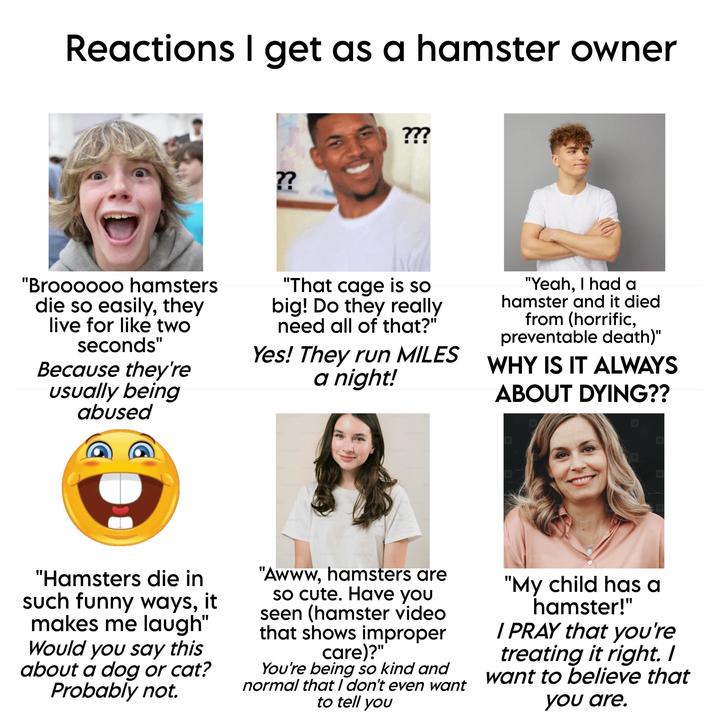 Reactions I get as a hamster owner ?? ??? "Broooooo hamsters die so easily, they live for like two seconds" Because they're usually being abused "That cage is so big! Do they really need all of that?" Yes! They run MILES a night! Unsplashe Hasplas "Yeah, I had a hamster and it died from (horrific, preventable death)" WHY IS IT ALWAYS ABOUT DYING?? Unsplashe Unsplash splas Unsplash Unsplash Unsplash+ Unsp Unsplashe Unsplashe "Hamsters die in such funny ways, it makes me laugh" Would you say this about a dog or cat? Probably not. "Awww, hamsters are so cute. Have you seen (hamster video that shows improper care)?" You're being so kind and normal that I don't even want to tell you "My child has a hamster!" I PRAY that you're treating it right. I want to believe that you are.