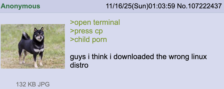 Anonymous 132 KB JPG 11/16/25(Sun)01:03:59 No.107222437 >open terminal >press cp >child p--- guys i think i downloaded the wrong linux distro