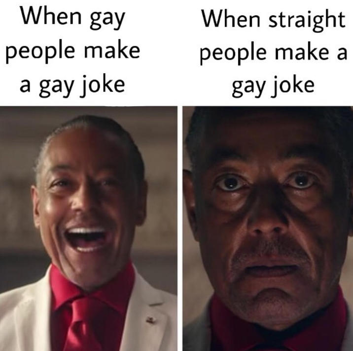 When gay people make a gay joke When straight people make a gay joke