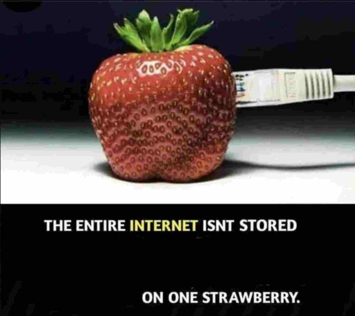 THE ENTIRE INTERNET ISNT STORED ON ONE STRAWBERRY.