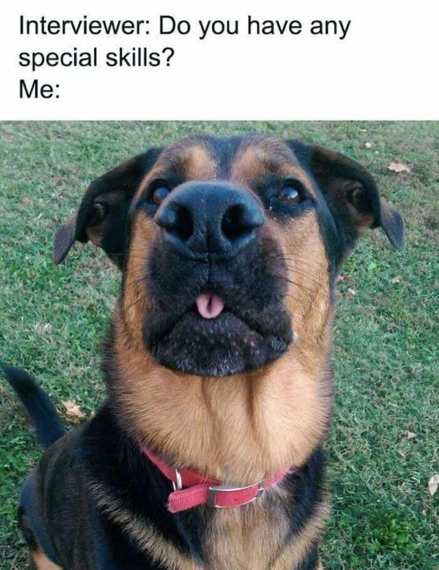 Interviewer: Do you have any special skills? Me: