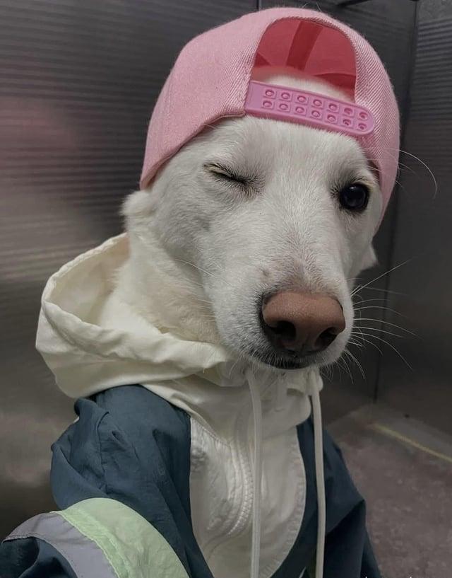 66 이이 이이 이이 이이 00