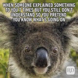 WHEN SOMEONE EXPLAINED SOMETHING TO YOU 7 TIMES BUT YOU STILL DON'T UNDERSTAND SO YOU PRETEND YOU KNOW WHAT'S GOING ON RD