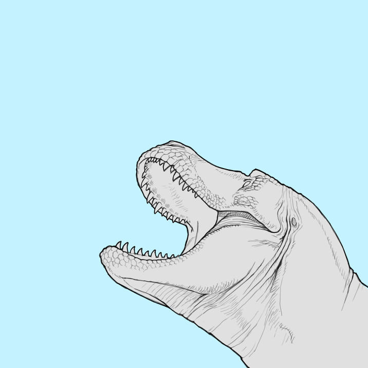 الرادارد wwwwww ༥་་༤