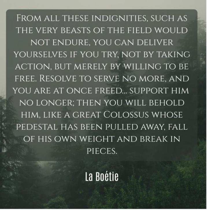 FROM ALL THESE INDIGNITIES, SUCH AS THE VERY BEASTS OF THE FIELD WOULD NOT ENDURE, YOU CAN DELIVER YOURSELVES IF YOU TRY, NOT BY TAKING ACTION, BUT MERELY BY WILLING TO BE FREE. RESOLVE TO SERVE NO MORE, AND YOU ARE AT ONCE FREED... SUPPORT HIM NO LONGER; THEN YOU WILL BEHOLD HIM, LIKE A GREAT COLOSSUS WHOSE PEDESTAL HAS BEEN PULLED AWAY, FALL OF HIS OWN WEIGHT AND BREAK IN PIECES. La Boétie