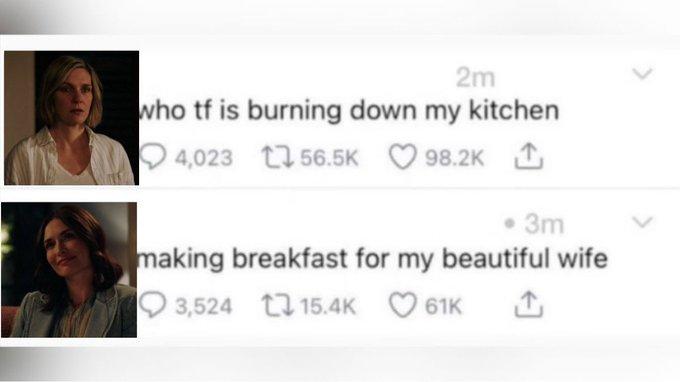 A version of the "who tf is burning down my kitchen":https://knowyourmeme.com/memes/who-tf-is-burning-down-my-kitchen meme. The meme references Pluribus.