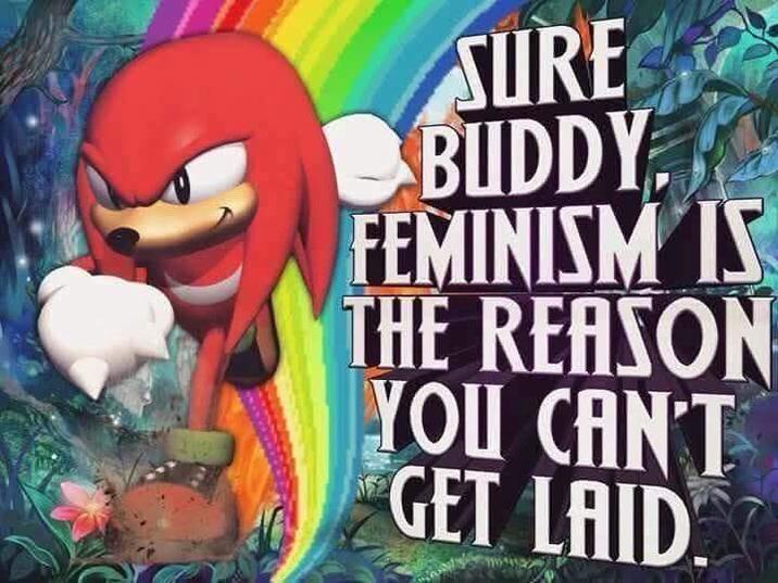 SURE BUDDY. FEMINISM IS THE REASON YOU CAN'T GET LAID.