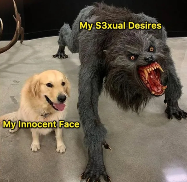 My Innocent Face My S3xual Desires