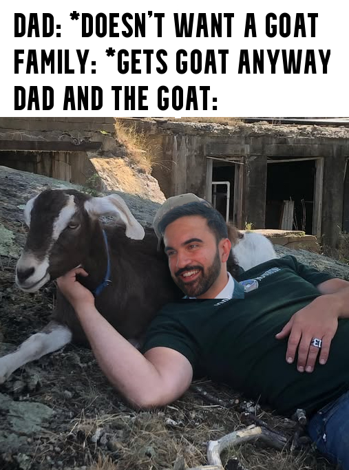 DAD: *DOESN'T WANT A GOAT FAMILY: *GETS GOAT ANYWAY DAD AND THE GOAT: El