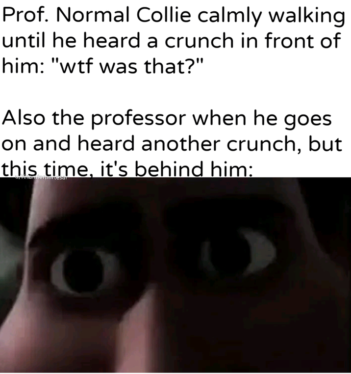 Prof. Normal Collie calmly walking until he heard a crunch in front of him: "w-- was that?" Also the professor when he goes on and heard another crunch, but this time, it's behind him: uykhantierpartesar