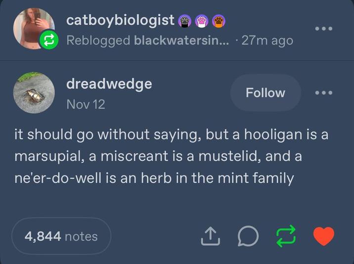 catboybiologist ☺ ☺ ☺ Reblogged blackwatersin... . 27m ago dreadwedge Follow Nov 12 it should go without saying, but a hooligan is a marsupial, a miscreant is a mustelid, and a ne'er-do-well is an herb in the mint family 4,844 notes
