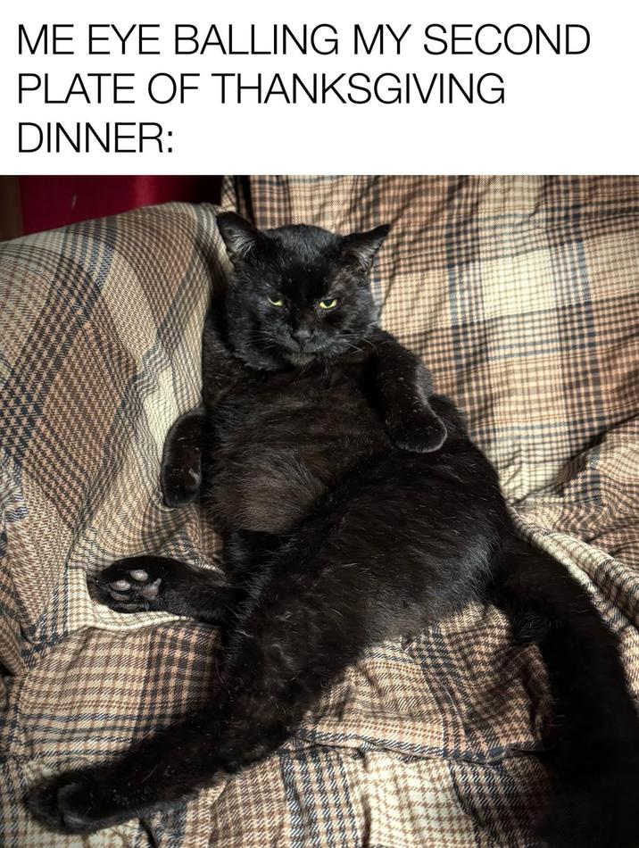 ME EYE BALLING MY SECOND PLATE OF THANKSGIVING DINNER: