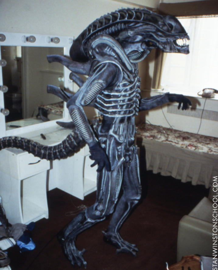 STANWINSTONSCHOOL.COM