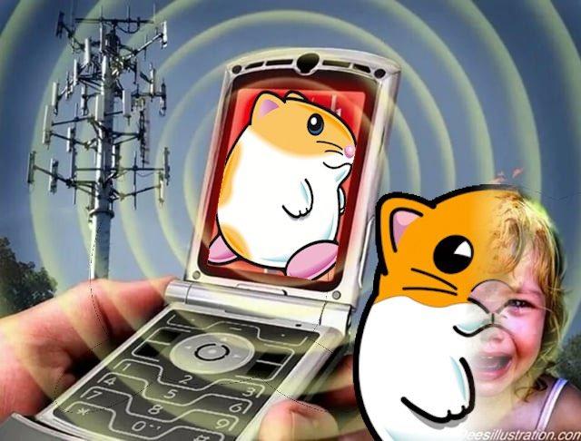 2580 eesillustration.com