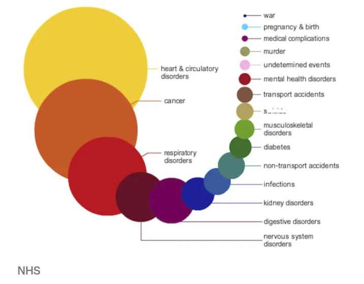 NHS heart & circulatory disorders war pregnancy & birth medical complications murder undetermined events mental health disorders transport accidents cancer musculoskeletal disorders respiratory disorders diabetes non-transport accidents -infections -kidney disorders digestive disorders nervous system disorders
