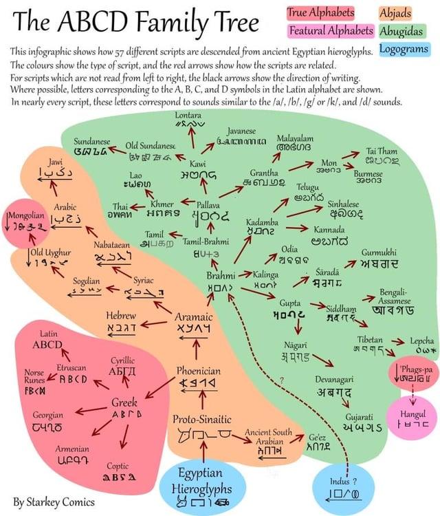 Lontara 11200 The ABCD Family Tree Abjads True Alphabets Featural Alphabets Abugidas This infographic shows how 57 different scripts are descended from ancient Egyptian hieroglyphs. Logograms The colours show the type of script, and the red arrows show how the scripts are related. For scripts which are not read from left to right, the black arrows show the direction of writing. Where possible, letters corresponding to the A, B, C, and D symbols in the Latin alphabet are shown. In nearly every script, these letters correspond to sounds similar to the /a/, /b/, /g/ or /k/, and /d/ sounds. Sundanese Old Sundanese Javanese A Malayalam അഭഗദ Jawi Kawi دی با Mon 3ატივ Tại Tham Caung Lao HONG Grantha Burmese 37003 ะฟอง 652 R Telugu అబద Arabic Thai Khmer Pallava Sinhalese ذج ب | Mongolian อพคท អពគទ 1632 ↑ 400 Kadamba අබගද Tamil удог Kannada 个 Old Uyghur Nabataean 8314 85 Tamil-Brahmi ಅಬಗದ Odia 80+3 | ଅ ବ ଗ ଦ Gurmukhi 7 ਅਬਗਦ Brahmi Kalinga Sarada Sogdian Syriac HOА> Gupta Siddham Hebrew Aramaic ዛዕባይ Latin ABCD דגבא ХУЛЧ Cyrillic Nāgari अपगड Bengali- Assamese আবগড় Tibetan Lepcha ཨ བ ག ད པ *30 Etruscan Norse Runes ABCD АБГД Phoenician Phags-pa 414 FB<M Devanagari अबगद Greek Georgian АВГА Proto-Sinaitic ԵՎՂԾ Ancient South Gujarati Hangul અબગડ HRE Arabian Armenian Ge'ez አበገደ ԱԲԳԴ Coptic ABSA Egyptian Indus? Hieroglyphs By Starkey Comics பூங்க