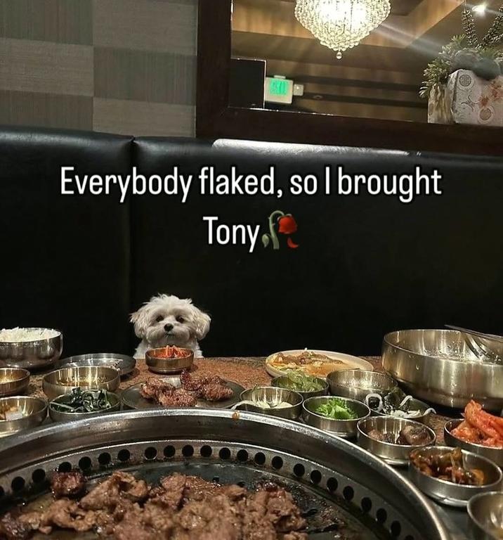 A meme of a dog at a dinner table. The meme is captioned, "Everybody Flaked So I Brought Tony."