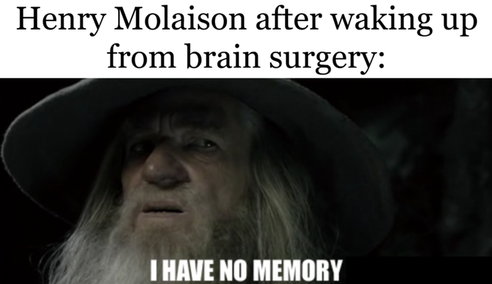 Henry Molaison after waking up from brain surgery: I HAVE NO MEMORY