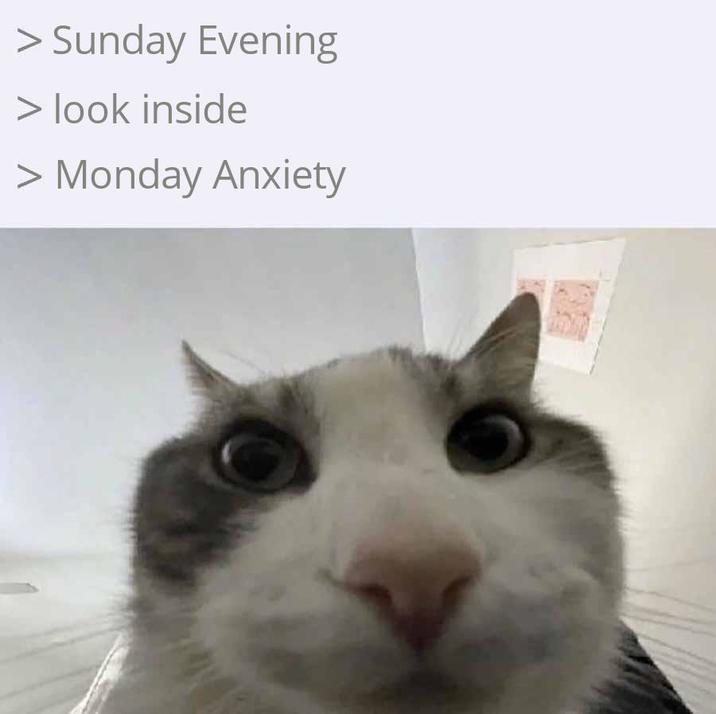 > Sunday Evening > look inside > Monday Anxiety