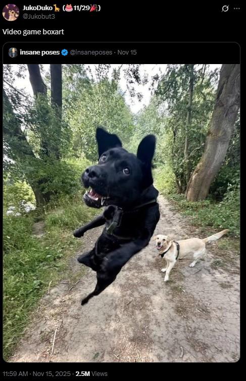 JukoDuko (11/294) @Jukobut3 Video game boxart insane poses @insaneposes - Nov 15 11:59 AM - Nov 15, 2025 - 2.5M Views 10