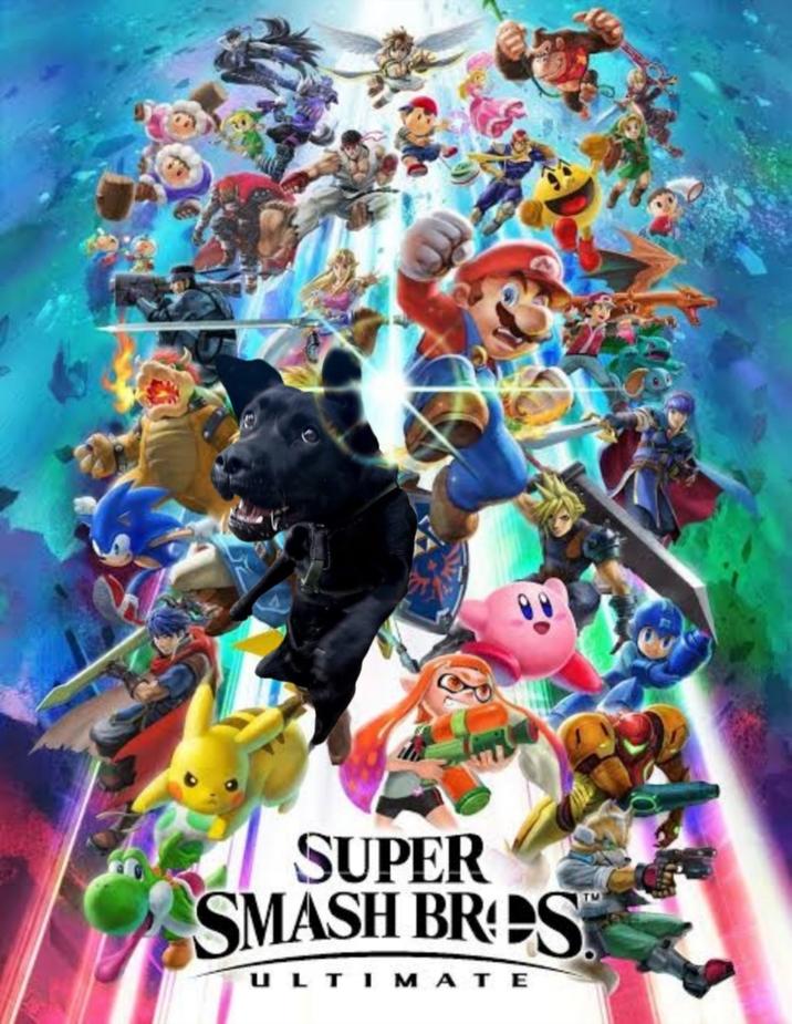 SUPER SMASH BROS ULTIMATE