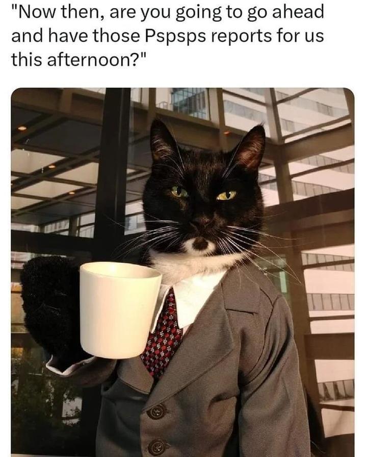 "Now then, are you going to go ahead and have those Pspsps reports for us this afternoon?"