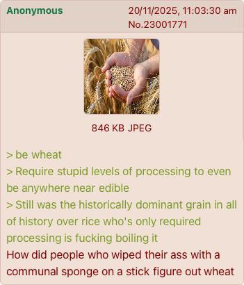 Anonymous 20/11/2025, 11:03:30 am No.23001771 > be wheat 846 KB JPEG > Require stupid levels of processing to even be anywhere near edible > Still was the historically dominant grain in all of history over rice who's only required processing is f------ boiling it How did people who wiped their ass with a communal sponge on a stick figure out wheat