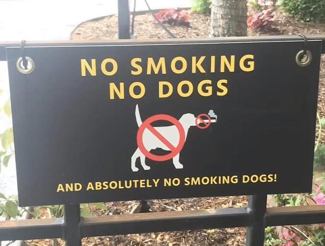 NO SMOKING NO DOGS AND ABSOLUTELY NO SMOKING DOGS!