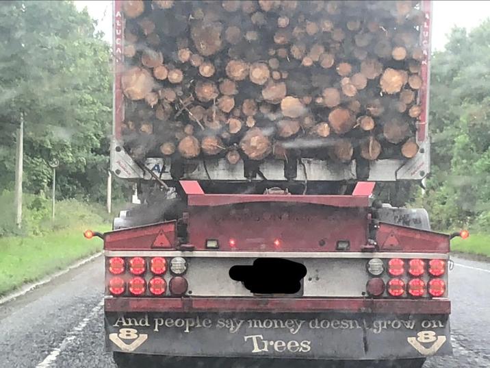 And people say money doesn grow Trees on 8