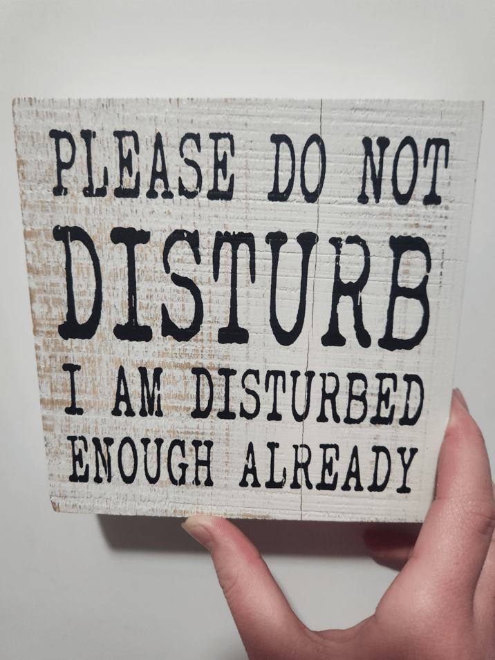 PLEASE DO NOT DISTURB I AM DISTURBED ENOUGH ALREADY