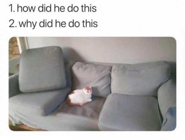 1. how did he do this 2. why did he do this