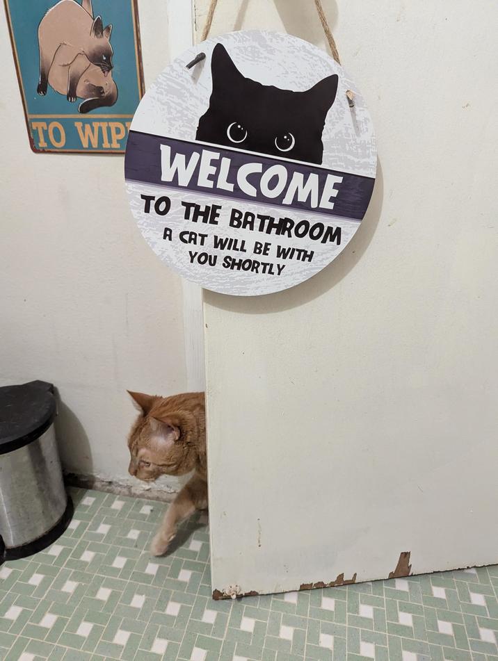 TO WIP С WELCOME TO THE BATHROOM A CAT WILL BE WITH YOU SHORTLY
