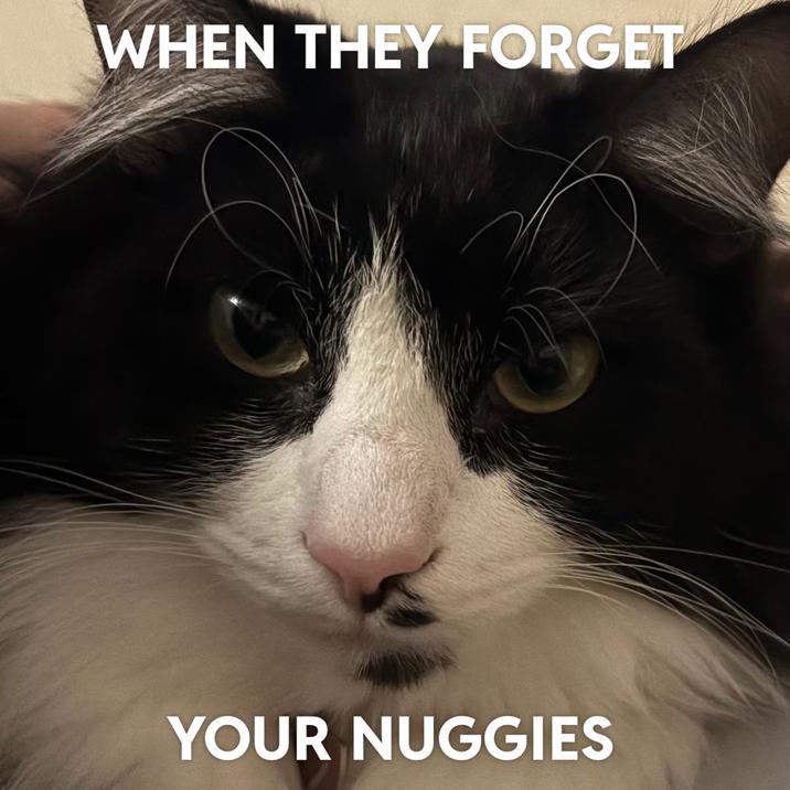 WHEN THEY FORGET YOUR NUGGIES