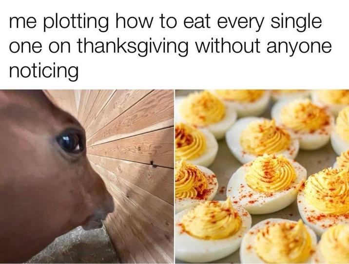 me plotting how to eat every single one on thanksgiving without anyone noticing