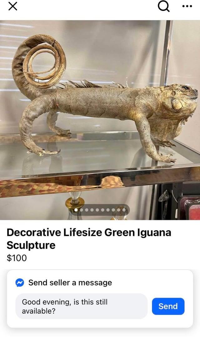 ☑ ୪ Q : Decorative Lifesize Green Iguana Sculpture $100 Send seller a message Good evening, is this still available? Send