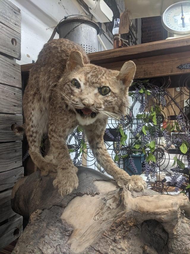 DUAI LE COUGHOU Sme 26 27 28 29 24 29 21 20 0000000000 19 18 Weigh 17 16 15 14 wwwwwww AMM WE www www