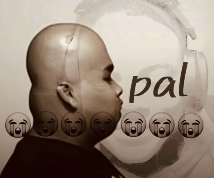 A "Son 😭😭😭😭😭" "image macro":https://knowyourmeme.com/memes/image-macros, instead reading, "Pal 😭😭😭😭😭" and showing "IShowSpeed Trying Not to Laugh":https://knowyourmeme.com/memes/ishowspeed-smiling-trying-not-to-laugh in a faded background.