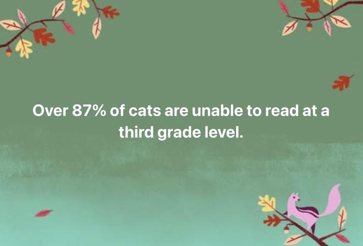 Over 87% of cats are unable to read at a third grade level.