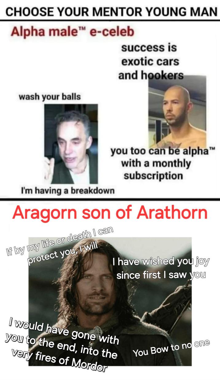 CHOOSE YOUR MENTOR YOUNG MAN Alpha male™ e-celeb success is exotic cars and hookers wash your balls I'm having a breakdown you too can be alpha™ with a monthly subscription Aragorn son of Arathorn If by my life or death I can protect you, I will I have wished you joy since first I saw you I would have gone with you to the end, into the very fires of Mordor You Bow to no one